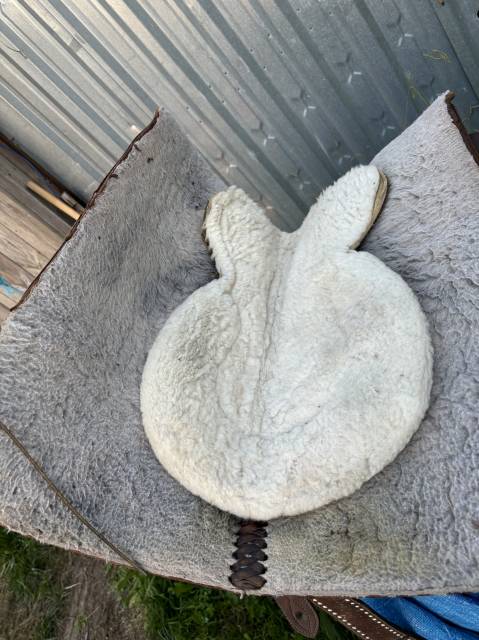 Sella western   17" - 2010