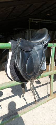 Sella mista Childeric  18" - 2018