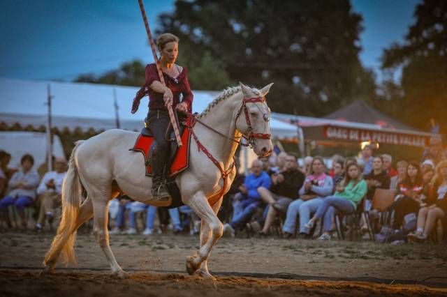 Delirio de Bouchetis  - AES Anglo European Studbook 2013 ,  ROBADOR