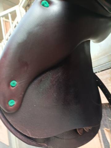 Sella Équipe expression special 17