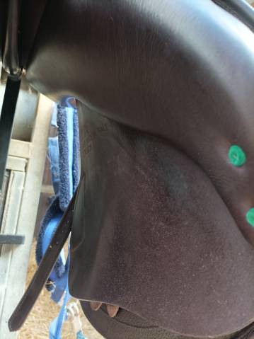 Sella Équipe expression special 17