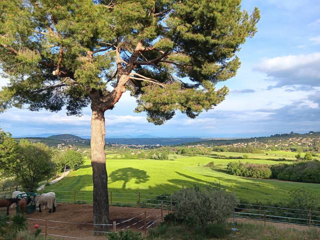 Proprietà equestre In vendita Alpes-de-Haute-Provence