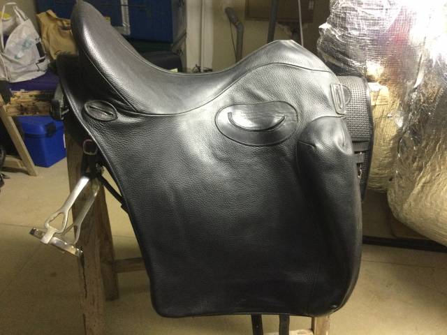 Sella portoghese  Relvas 17.5" - 2022