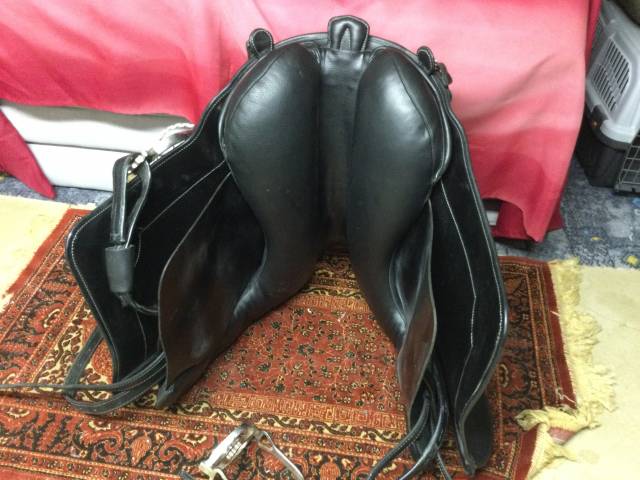 Sella portoghese  Relvas 17.5" - 2022