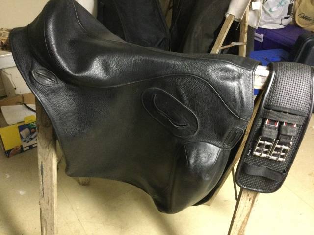 Sella portoghese  Relvas 17.5" - 2022