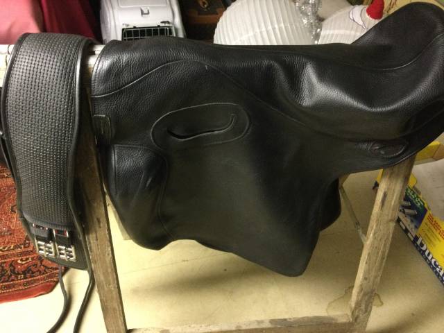 Sella portoghese  Relvas 17.5" - 2022