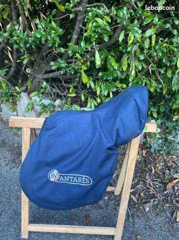 Sella mista Antar&egrave;s  17.5" - 2022