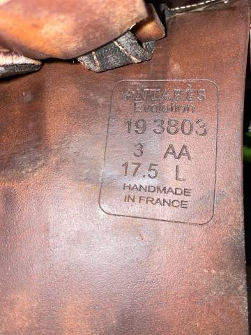 Sella mista Antar&egrave;s  17.5" - 2019