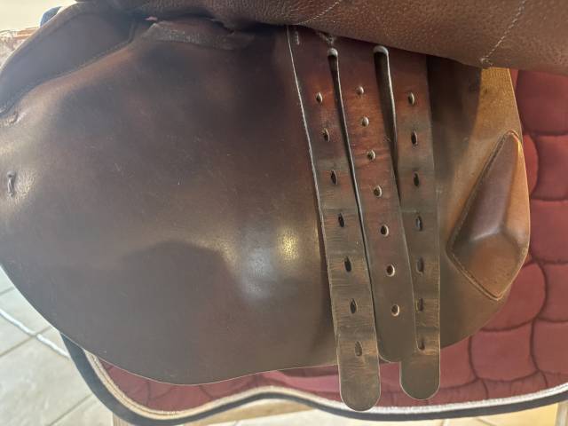 Sella da salto ostacoli  Cso  17.5" - 2019