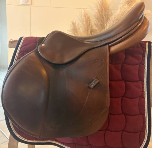 Sella da salto ostacoli  Cso  17.5" - 2019