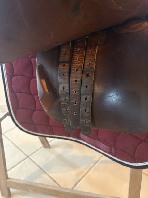 Sella da salto ostacoli  Cso  17.5" - 2019