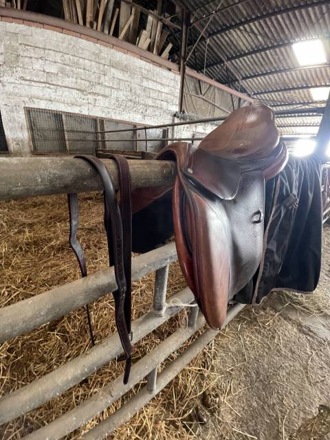 Sella da salto ostacoli CWD SE06 semi creus 17.5" - 2011