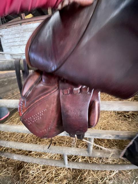 Sella da salto ostacoli CWD SE06 semi creus 17.5" - 2011