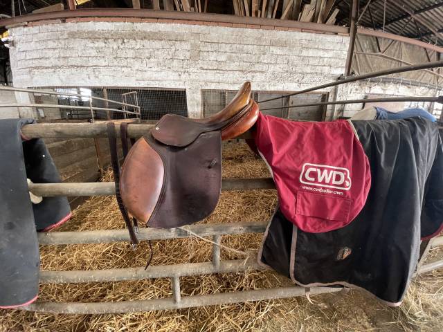 Sella da salto ostacoli CWD SE06 semi creus 17.5" - 2011