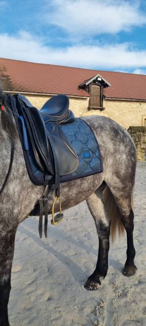 Sella da dressage Zaldi  17.5" - 2011