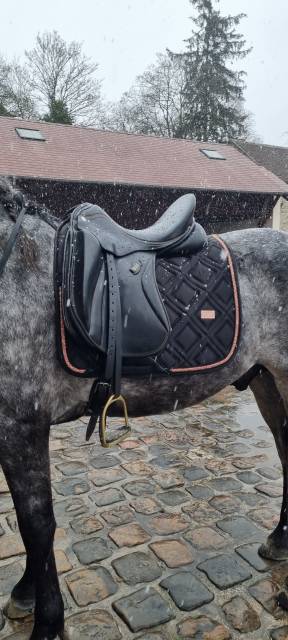 Sella da dressage Zaldi  17.5" - 2011