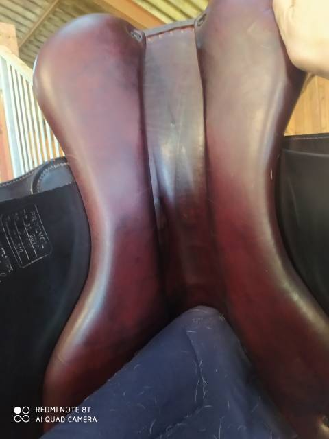 Sella mista Jean-Luc Maurel  17" - 2019