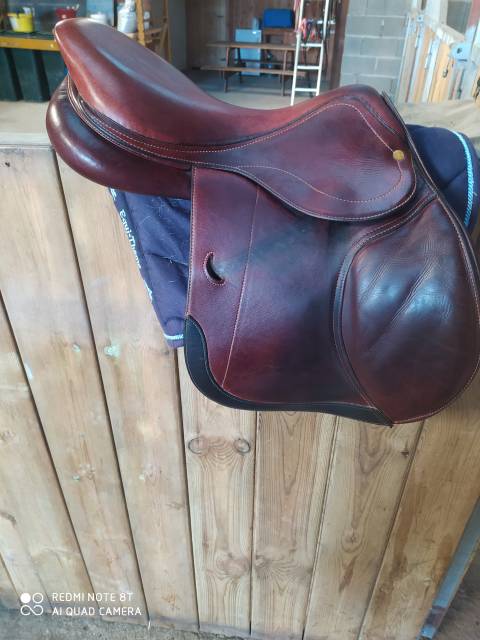 Sella mista Jean-Luc Maurel  17" - 2019