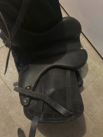 Sella da dressage Antarès  17" - 2019