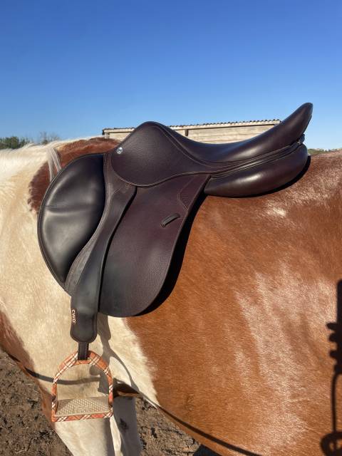 Sella da salto ostacoli CWD  17.5" - 2020