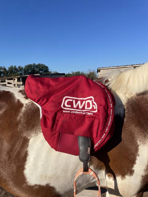 Sella da salto ostacoli CWD  17.5" - 2020