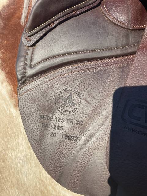 Sella da salto ostacoli CWD  17.5" - 2020