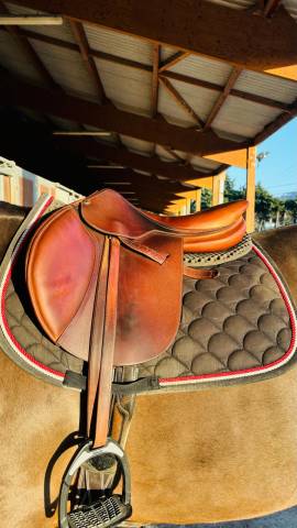 Sella mista Butet  17" - 2016