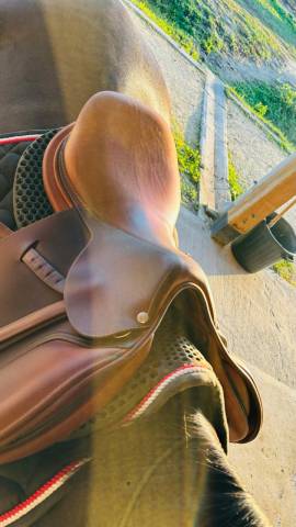 Sella mista Butet  17" - 2016