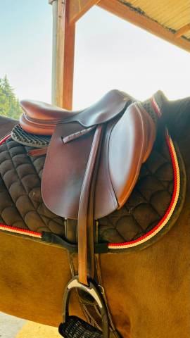 Sella mista Butet  17" - 2016