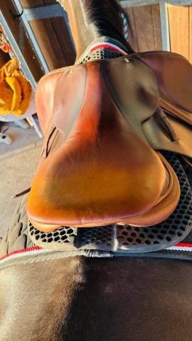 Sella mista Butet  17" - 2016