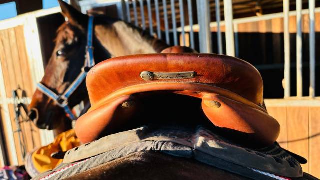 Sella mista Butet  17" - 2016