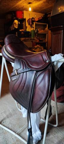 Sella mista CWD  17" - 2018