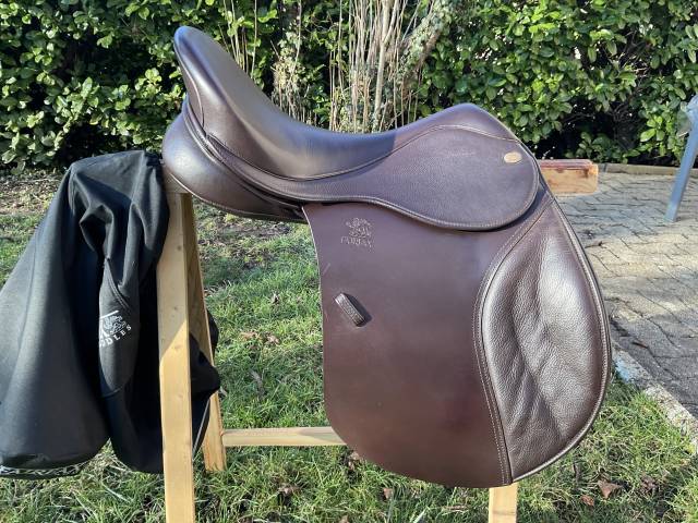 Sella mista Fairfax  18" - 2024