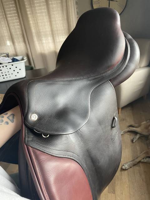 Sella da salto ostacoli CWD  17.5" - 2014