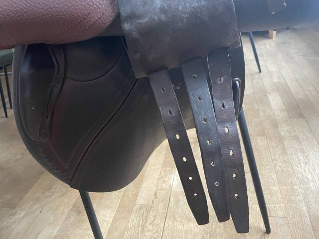 Sella da salto ostacoli CWD  17.5" - 2014