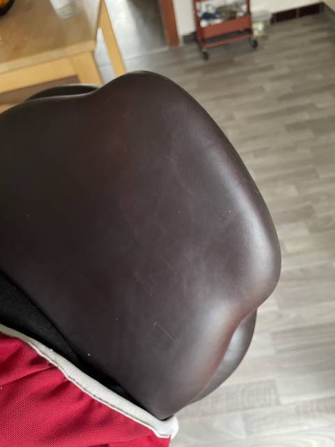 Sella da salto ostacoli CWD  17.5" - 2014