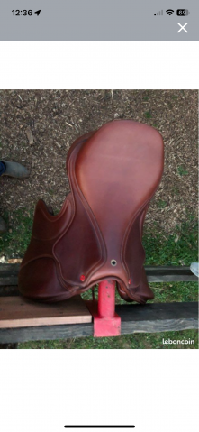 Sella da salto ostacoli   17.5" - 2024