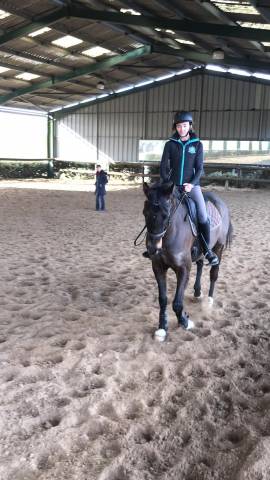 Sella da dressage Vincent Gaffet  17" - 2016