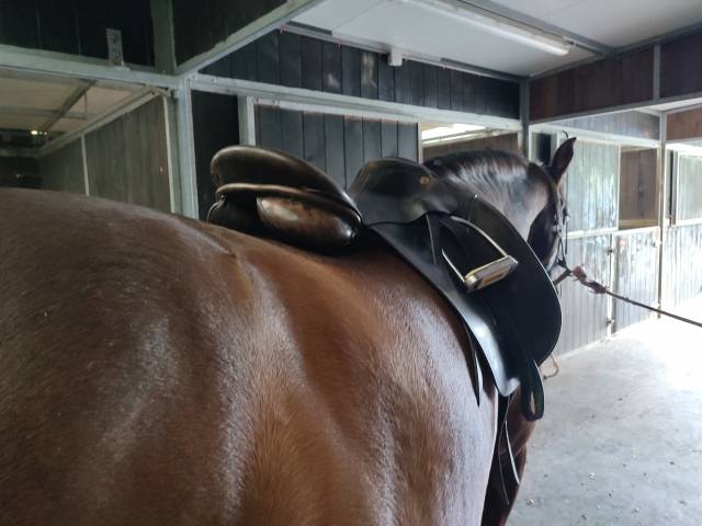 Sella da dressage  KN 17.5" - 1995