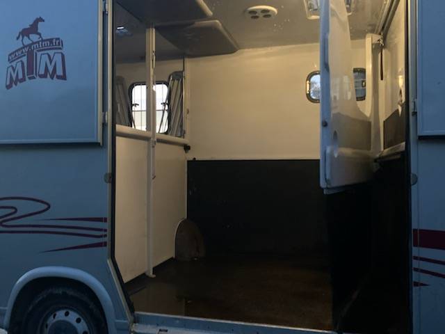 Van per Cavalli MTM Master 2 2009 Occasione