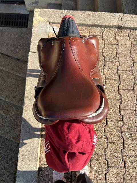 Sella mista CWD  17.5" - 2021