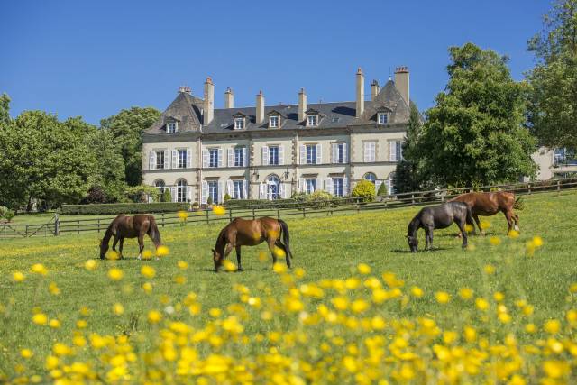 Istruttore di equitazione - CDI Tempo pieno - Allier Francia
