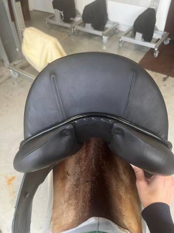 Sella da salto ostacoli GBS  17.5" - 2023