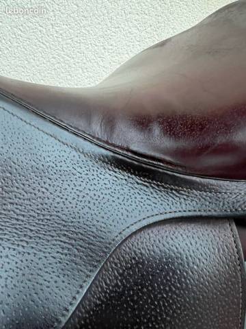 Sella mista CWD  17.5" - 2018