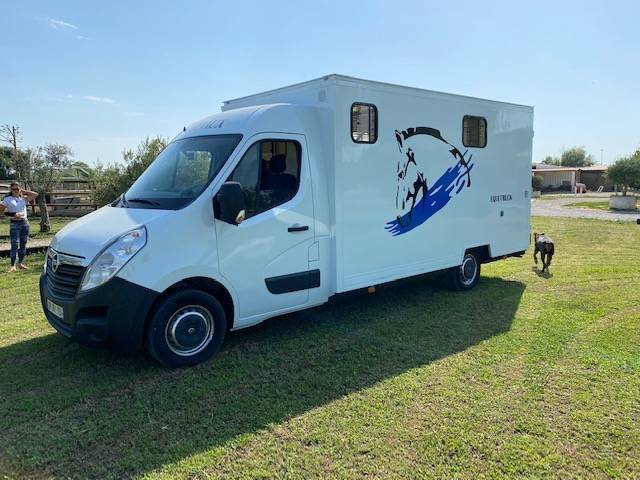 Van per Cavalli Renault  2019 Occasione