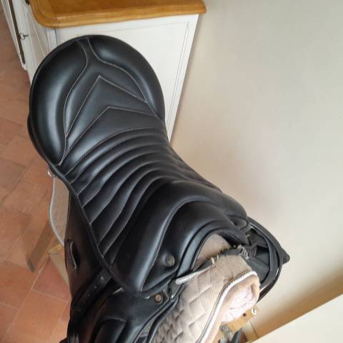 Sella mista Zaldi Belfort  17.5" - 2022