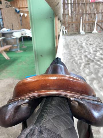 Sella mista Forestier  17.5" - 2018