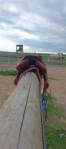 Sella da cross CWD SE19 17" - 2009