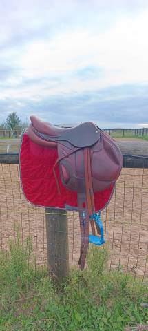 Sella da cross CWD SE19 17" - 2009