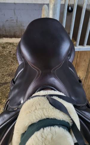 Sella da salto ostacoli Forestier  18" - 2023